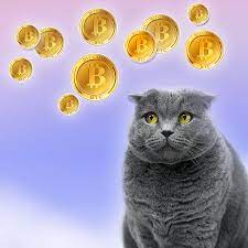 Cryptohumorproject